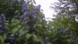Песня Я не знаю где встретиться нам придётся с тобой
