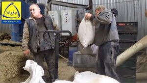 Переработка боенских отходов утиной фермы в корм  Экструдирование с ячменными отходами