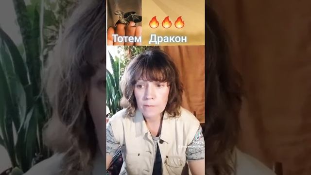 Дракон - тотем магии смотреть онлайн