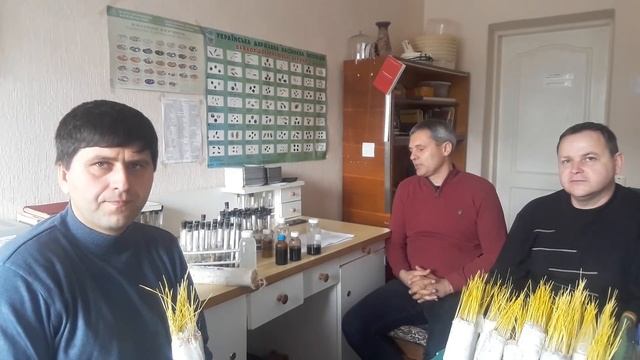 Варто чи не варто застосовувати мікродобрива та стимулятори росту для обробки насіння? смотреть онлайн