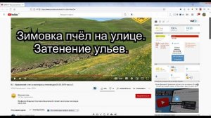 Профессор Кашковский про расстановку ульев при зимовке на воле