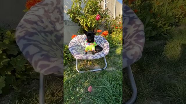 Дарк,мальчик предлагается смотреть онлайн