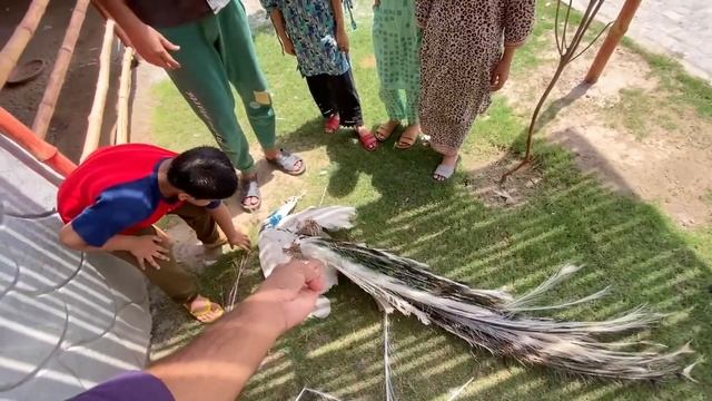 Ash Ny Hmare Mor Ko Mar Dala? смотреть онлайн