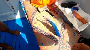 ?Рыбалка в Египте РАЗРЕШЕНА!?Зубастые трофеи Красного моря?Яхта, рыбалка за 7$ с человека!?Хургада?