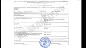 Выписка из ЕГРН