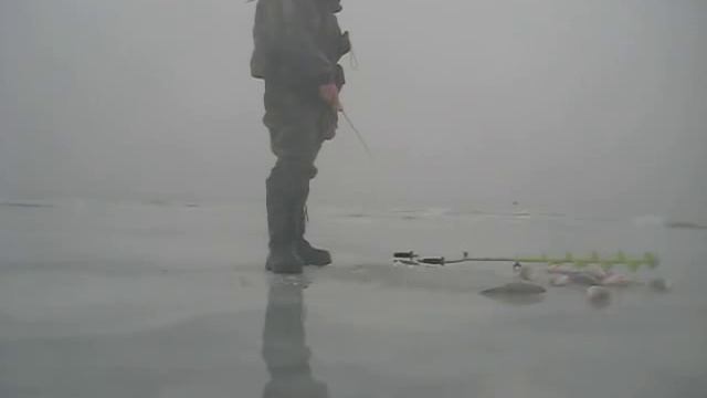 Ловля огромных окуней зимой смотреть онлайн