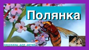 ?ПОЛЯНКА/ рассказ о трудолюбии/для детей/ христианские рассказы/ рассказы для детей