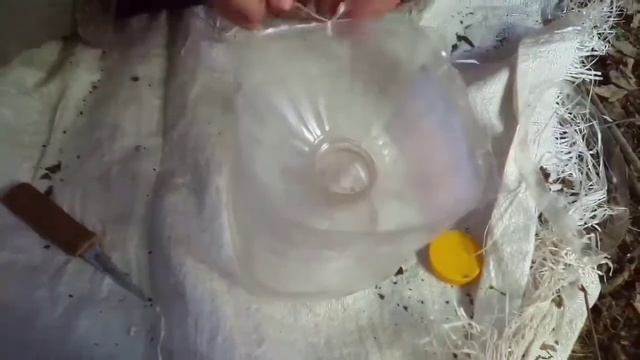 Как зделать мордушку из пластиковой бутылки для ловли рыбы. смотреть онлайн