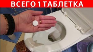 Всего 1 ТАБЛЕТКА и УНИТАЗ как НОВЫЙ