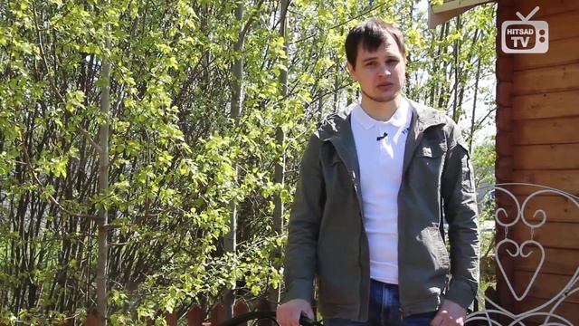 Уличные светильники ➡ делаем освещение на даче? ? Полезные советы дачникам от HitsadTV