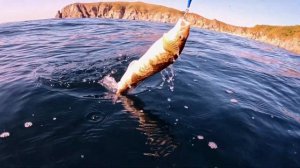 Дальний восток, рыбалка. Терпуг