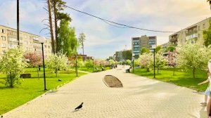 Поехали прогуляться в г. ЗАРЕЧНЫЙ. Удивились  САКУРЕ, ОБУСТРОЕННОСТИ и УЮТУ. Зачет!