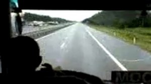 Защитная лесополоса вдоль дороги