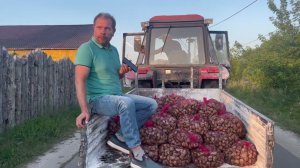 Начало сбора. 2024 год.