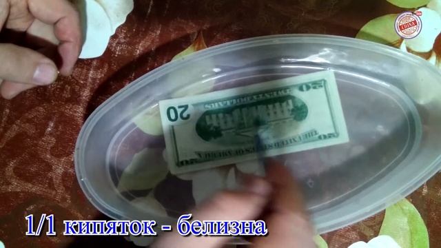 ОТМЫВАЕМ ДОЛЛАР от грибка, плесени how to clean the dollar ? смотреть онлайн