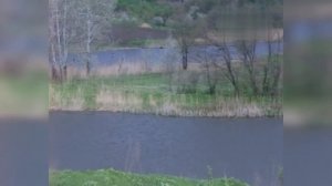 РЕДКАЯ ИКОНА БОЖИЕЙ МАТЕРИ ИМЕНУЕМОЙ "СКОРБЯЩАЯ О МЛАДЕНЦАХ, ВО ЧРЕВЕ УБИЕННЫХ"...