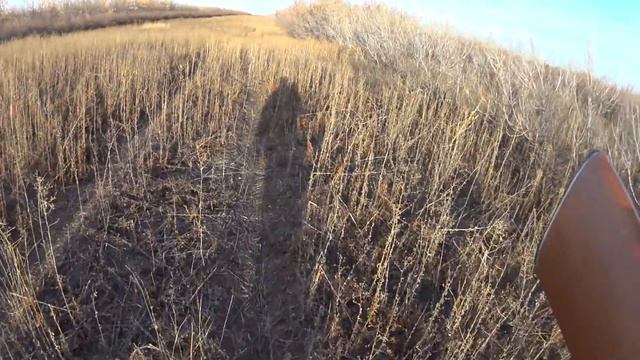 Охота 2020 в Казахстане!Заяц Беляк!!!!! смотреть онлайн