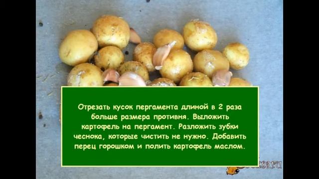 Молодая картошка запечённая в пергаменте смотреть онлайн