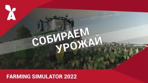 Farming Simulator 2022 | Собираем урожай