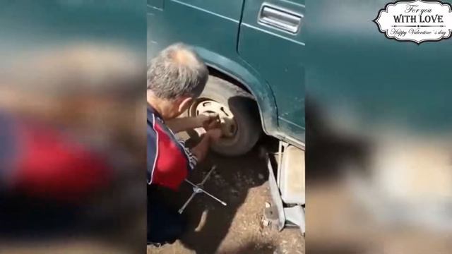 Приколы с котами СМЕШНАЯ ОЗВУЧКА ЖИВОТНЫХ Тест на психику