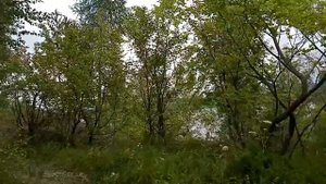 Запретные штольни Ширяево, Самарская область. Подземная Самара