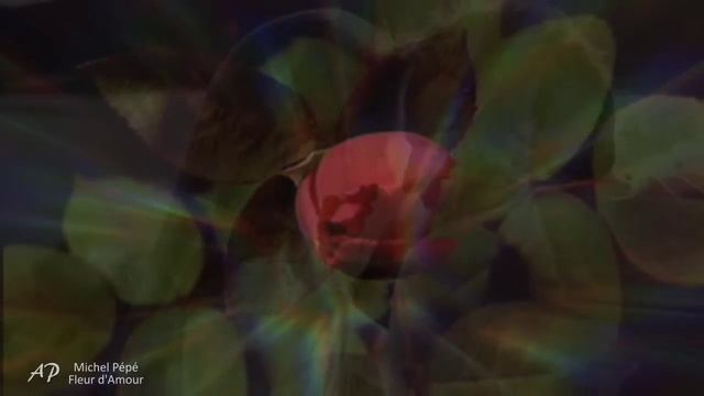 ♥ Fleur D 'Amour - Michel Pépé ♥