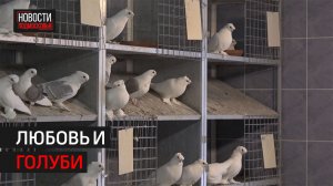 В Химках появился самый большой в Европе питомник // 360 ХИМКИ