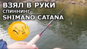 Спиннинг Shimano Catana- это не спиннинг! Проверка! Плетенка для спиннинга. Ловля щуки на спиннинг.