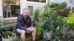 Beautiful Gardenias - My Favorite May Flowering Plant - Fragrant And Evergreen