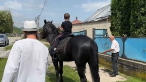 Нашли и Купили лошадей на Кавказе. Выпуск 3 | Александр Обжерин