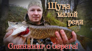 ПОИСК ЩУКИ осенью НА МАЛОЙ РЕКЕ. Рыбалка на спиннинг с берега