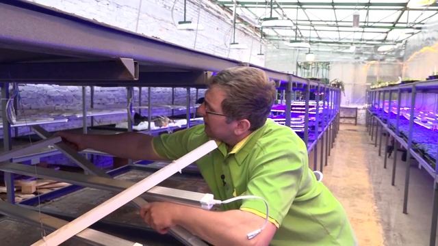 Режим содержания рассады и планы на весенние работы в саду. смотреть онлайн