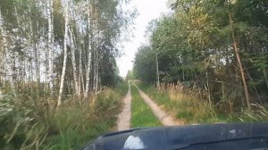 Русский лес, дорога в заповедные места