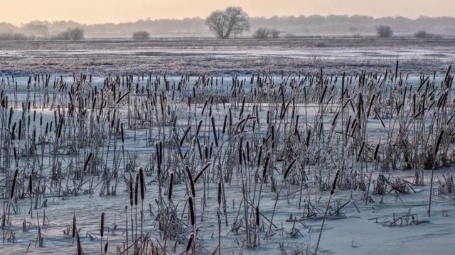 "АХ ТЫ СОЛНЦЕ, СОЛНЦЕ КРАСНОЕ"... (Фото Андрея Абакумова (Рязань) - Поёт Фёдор Шаляпин) смотреть онлайн