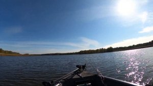 Чорнобиль. Річка Припять. Чудове місце для полювання на Big Fish