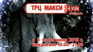 Выставка Движущиеся Гиганты Ледникового Периода г.Архангельск