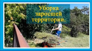 Купили дом с участком. Уборка заросшего участка.