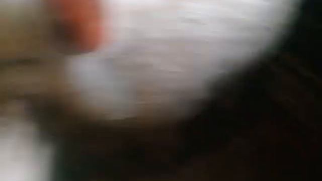 Грязные. Как поросята. смотреть онлайн