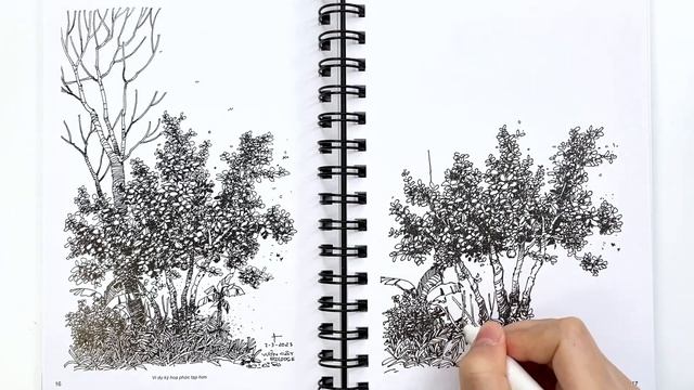 Review Sổ vẽ ký hoạ của artist Nguyễn Ngọc kết hợp với Lỗ Béo | Lobeo Studio смотреть онлайн