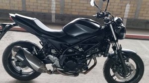 SUZUKI SV650 ABS из Японии - отличная альтернатива Ducati Monster!!
