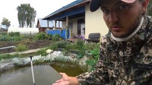 Судак и окунь в домашнем пруду! Выживает ли рыба после того как ее отпускают?! Лайфхак от судака.