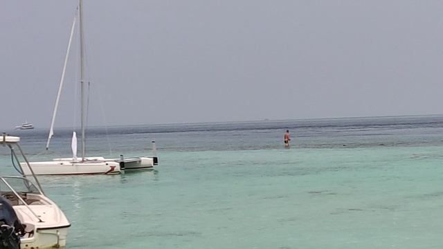 Мальдивы. Опасность на пляже и дельфины. Мальдивы за 56 тысяч рублей с перелетом. Канал Тутси влог.