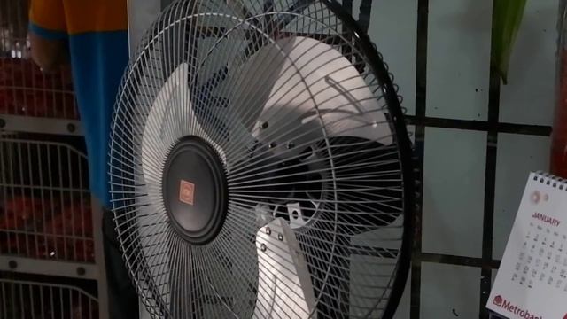 Fujifilm X-A10 autofocus sample during video recording смотреть онлайн