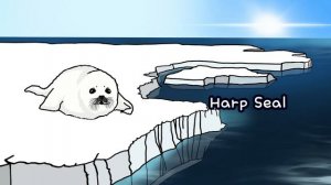 Arctic Animals  | What kind of Winter Animals live in South & North Pole? | Kids Draw