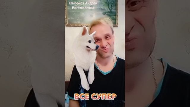 Весёлый собачачий прикольчик ???
