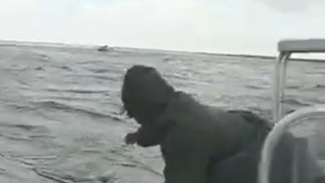 Big Fish Snapper,Las Brujas, Cuba fishing смотреть онлайн