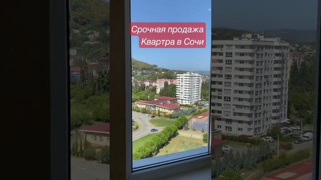 Срочная продажа в Сочи. Квартира с видом на олимпийский парк. Планируется в двушку. 13,4 млн, 52 м2