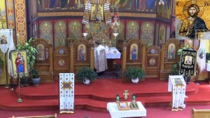 6/14/2020 - 10:00 AM Liturgy - Неділя Всіх Святих Літургія і Молебень - Sunday of All Saints-Molebe