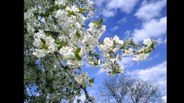 За того парня1 смотреть онлайн