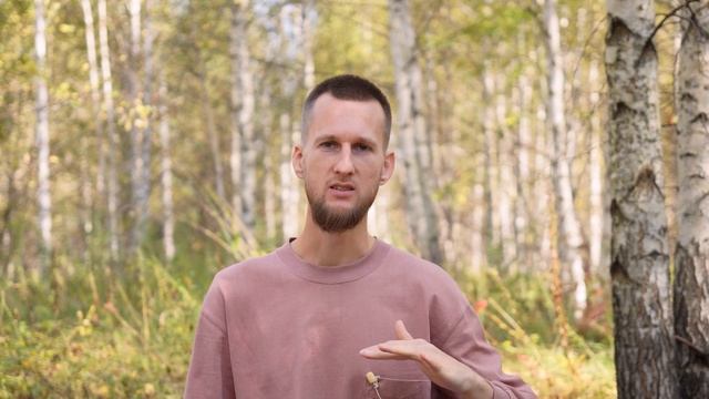 Внутренние голоса, на какой опираться?